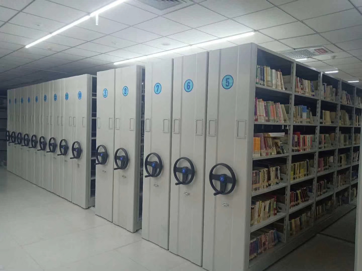 mmexport1541675300561.jpg